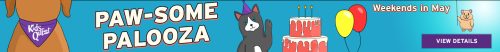 Pawsome Palooza at Kids Quest